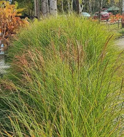 Holidayhouse Vikendica